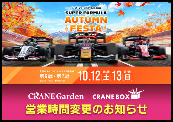 SF10_600x.jpg?v=1728539877